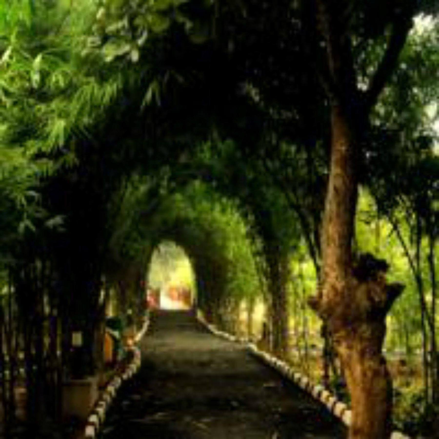 Lemon Tree Wildlife Resort, Bandhavgarh Tāla Екстериор снимка